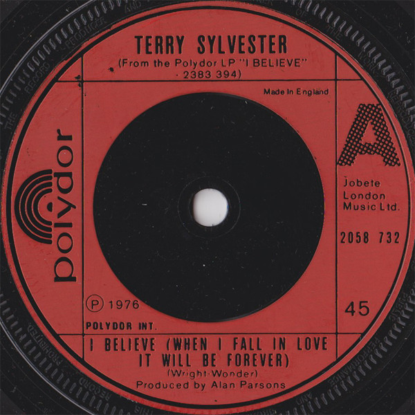 Terry Sylvester - I Believe (When I Fall In Love It Will Be Forever) - image 1