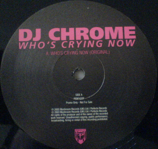DJ Chrome - Who's Crying Now - Used Vinyl Record 12" image 1