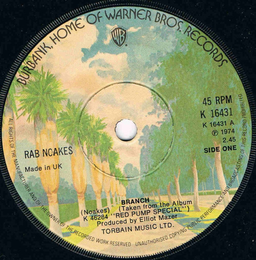Rab Noakes - Branch - Used Vinyl Record 7" image 1