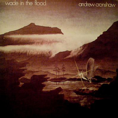 Andrew Cronshaw - Wade In The Flood - Used Vinyl Record image 1