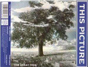 This Picture - Great Tree - Used CD image 1