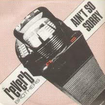 Reverb Brothers - Ain't So Sorry - Used Vinyl Record 7" image 1