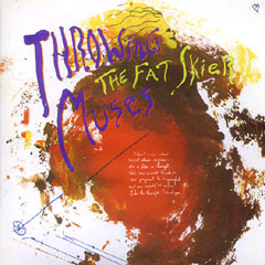 Throwing Muses - Fat Skier - Used Vinyl Record 12" image 1