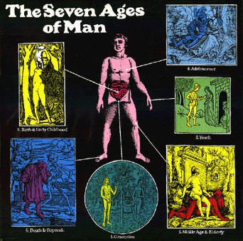 Seven Ages Of Man - Used Vinyl Record image 1