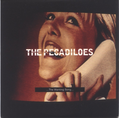 Pecadiloes - ...The Wanting Song... - Used CD image 1