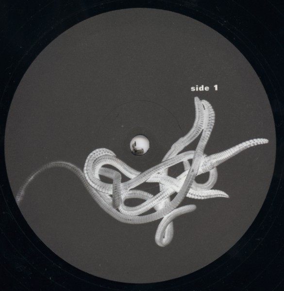 Scheer - Shea - Used Vinyl Record 12" image 1