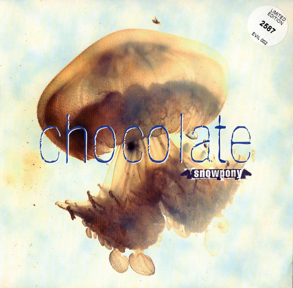 Snowpony - Chocolate In The Sun - Used Vinyl Record 7" image 1