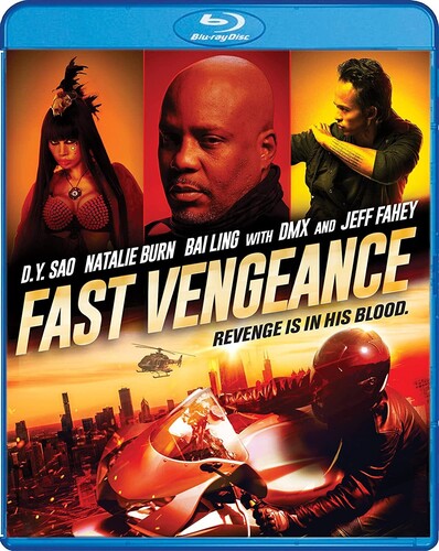 FAST VENGEANCE