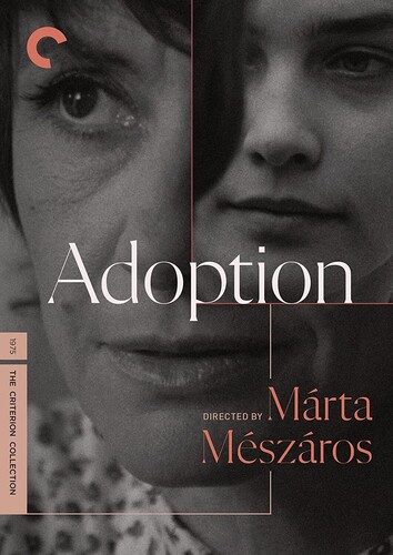 ADOPTION DVD